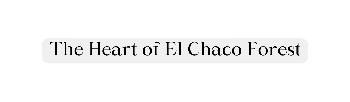 The Heart of El Chaco Forest